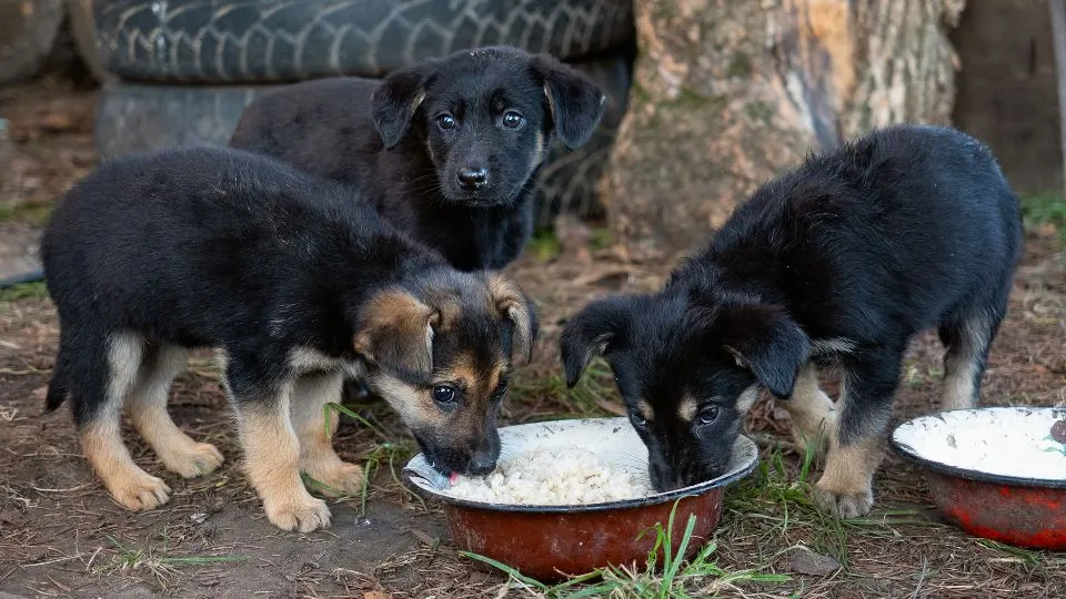 Фото: istockphoto.com