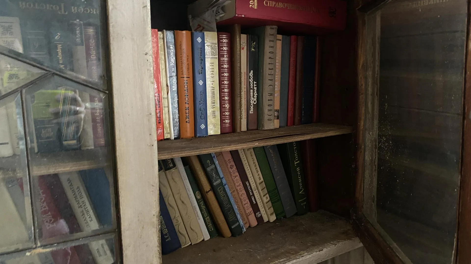 Дарья Шапочкина