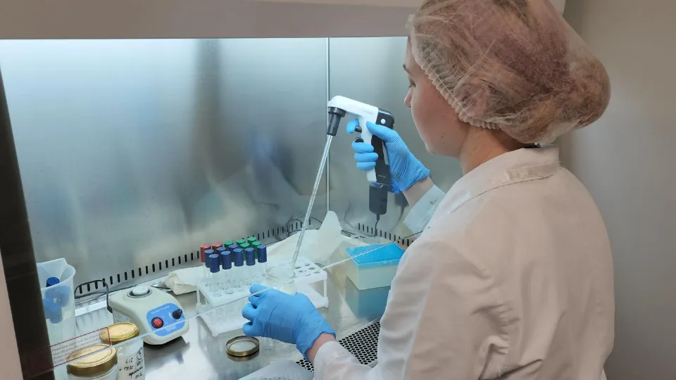 Фото: REGIONS/Артем Мишуков