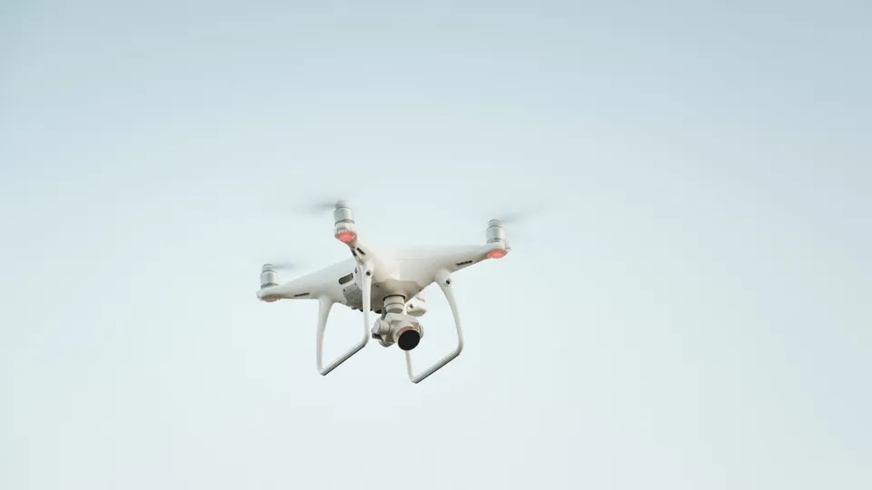 Фото: freepik.com