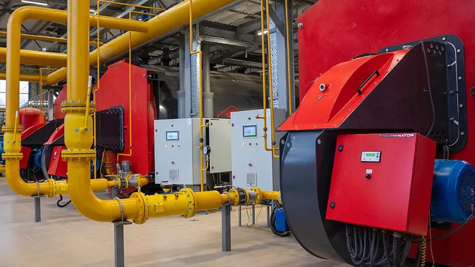 Фото: пресс-служба губернатора и правительства Московской области