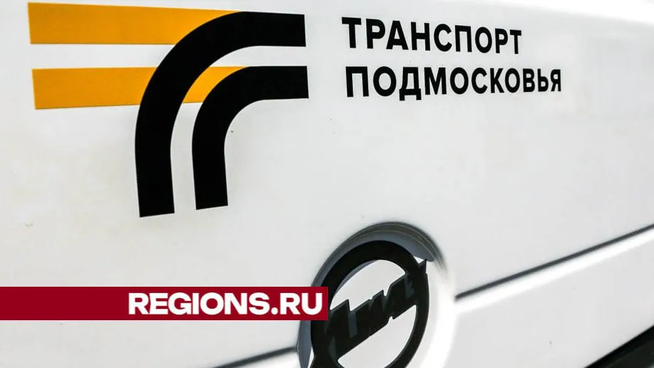 Фото: Валерия Тингаева