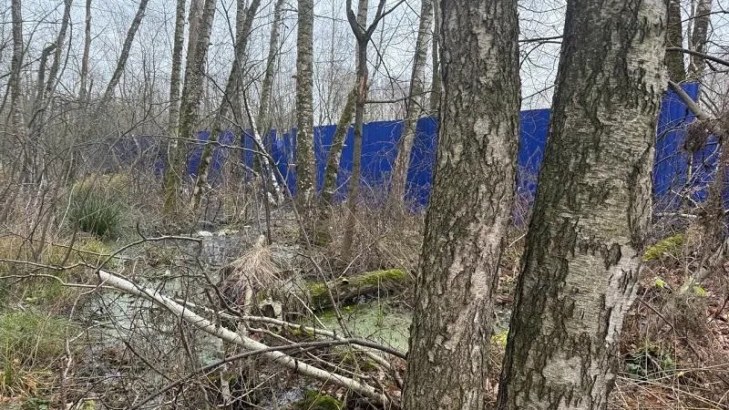 Фото: Министерство экологии и природопользования Московской области