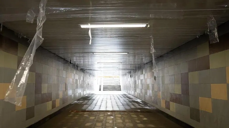 Фото: пресс-служба администрации г.о. Люберцы