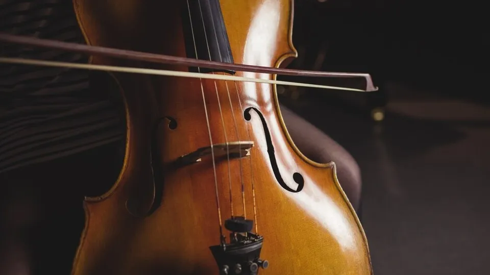 Фото: freepik.com