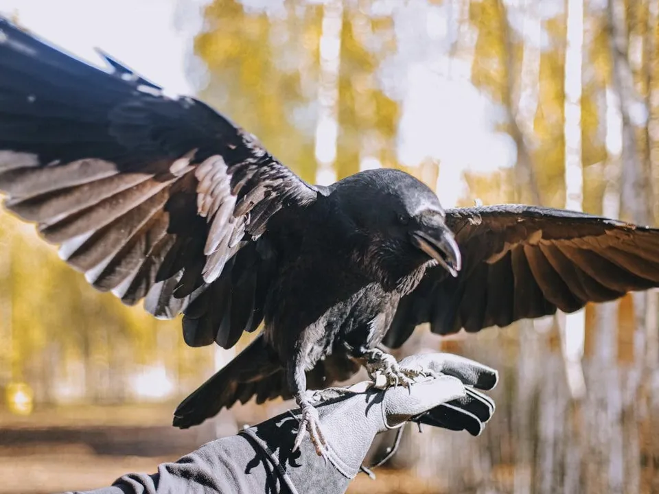 Фото: пресс-служба администрации г.о. Кашира