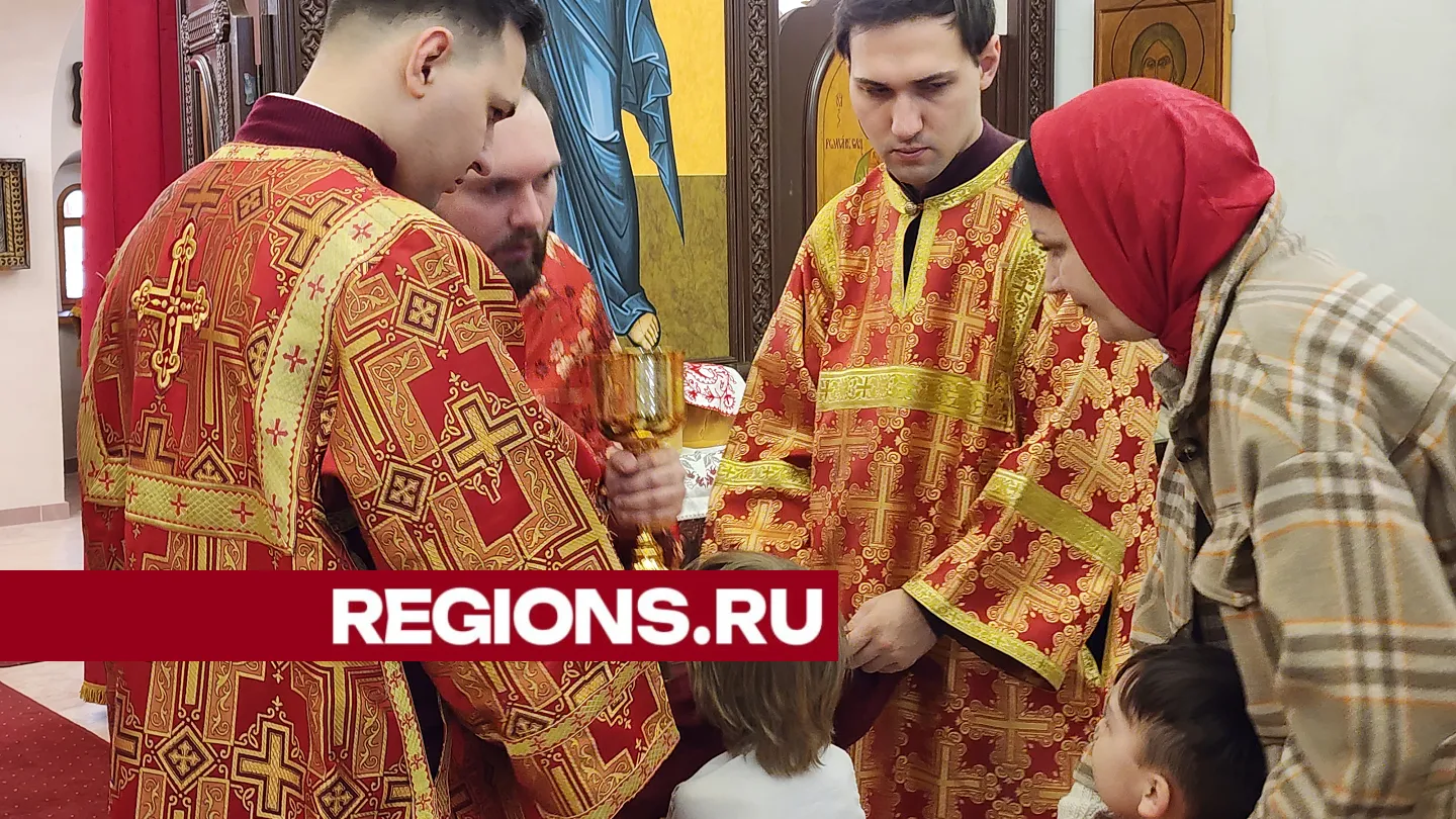 Фото: Светлана Борщева