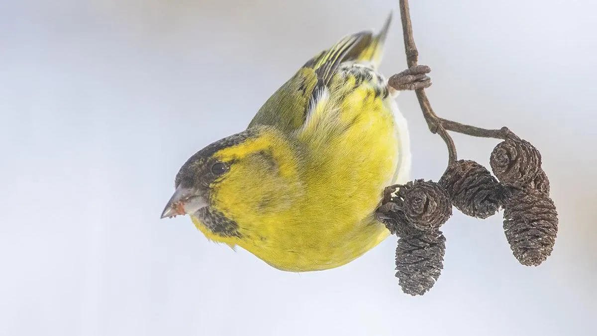 личный архив Елены Швыдун
