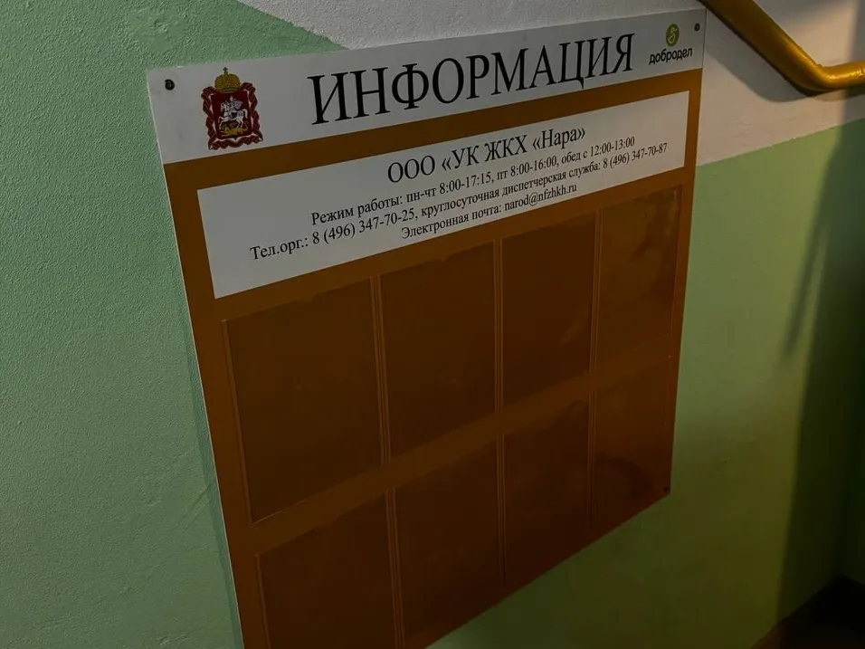 Фото: пресс-служба администрации Наро-Фоминского г.о.&nbsp;