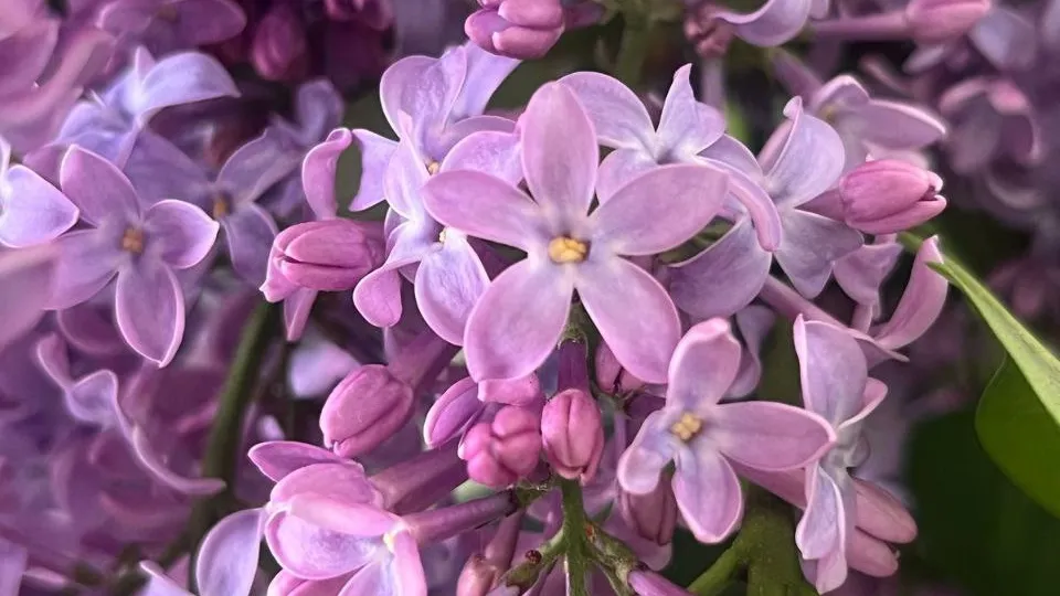 Фото: REGIONS/Юлия Габбасова