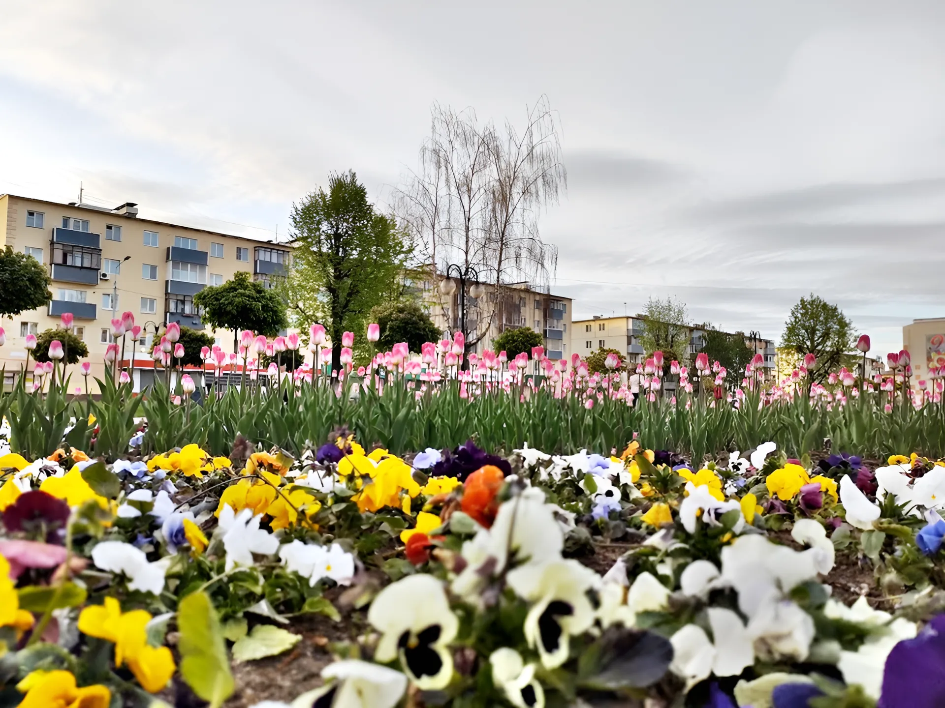 Фото: REGIONS/Алексей Селиверстов