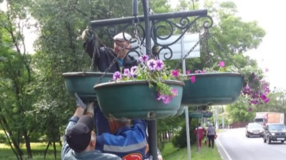 Фото: администрация м.о. Чехов