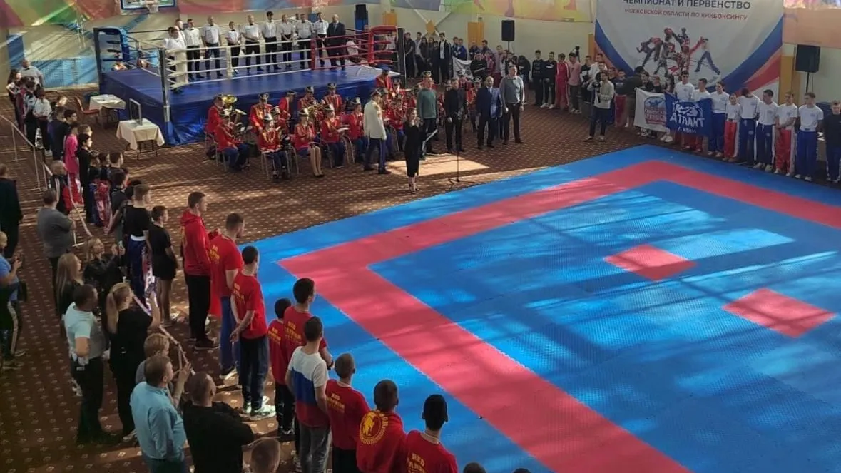 Фото: федерация кикбоксинга Московской области