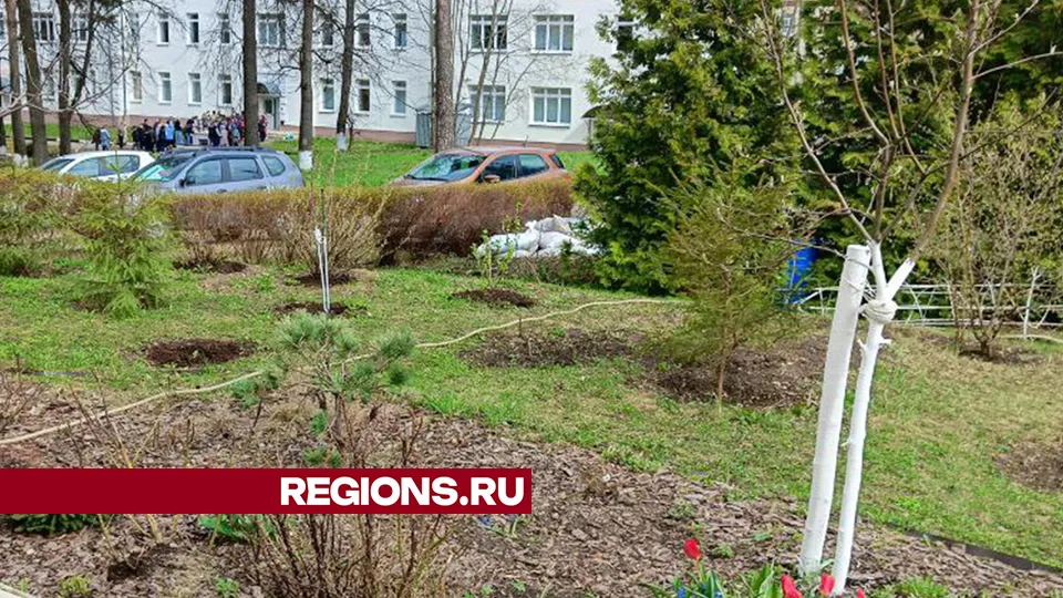 Фото: REGIONS/Евгений Рой