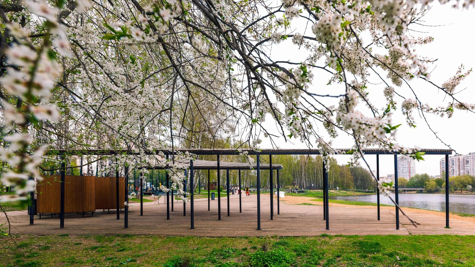 медиасток.рф