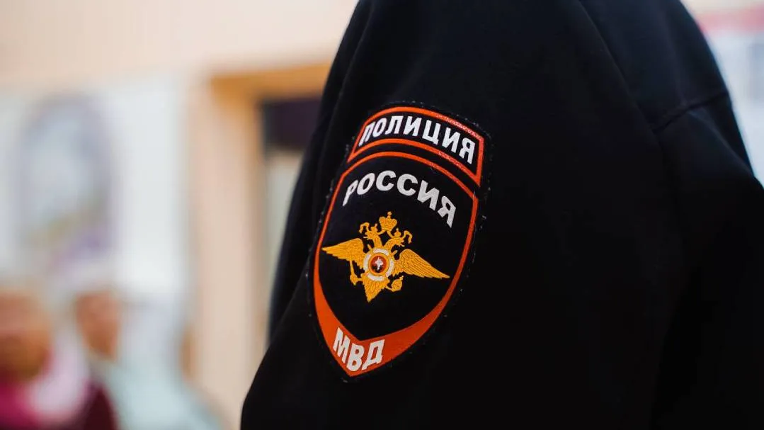 Фото: Дарья Погорельцева