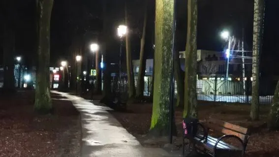 Фото: t.me/BronnikovSP