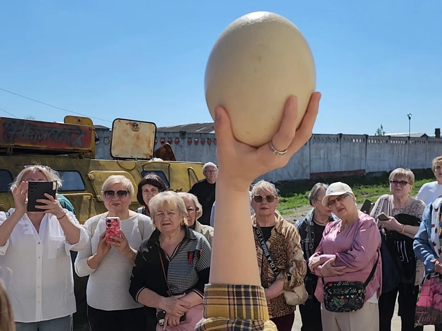 Фото: REGIONS/Александр Степушкин