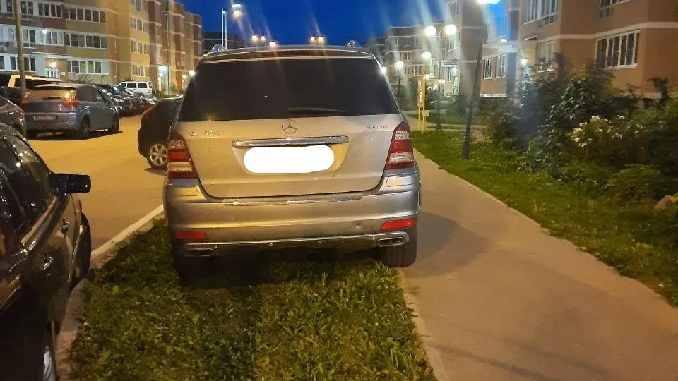 Фото: Микрорайон Малая Истра / Telegram