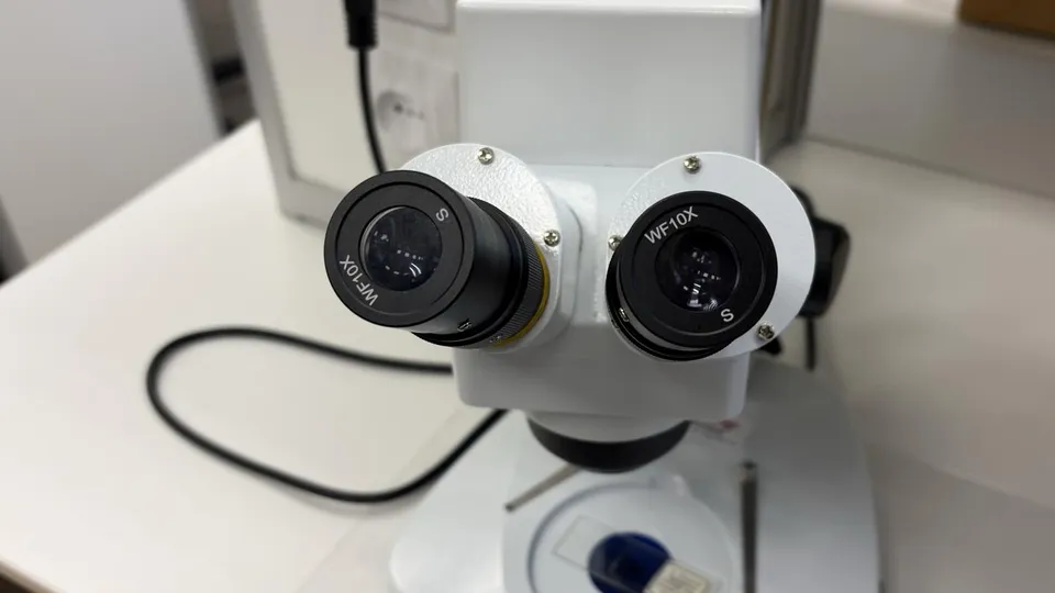 Фото: МедиаБанк Подмосковья/Анна Нестерова