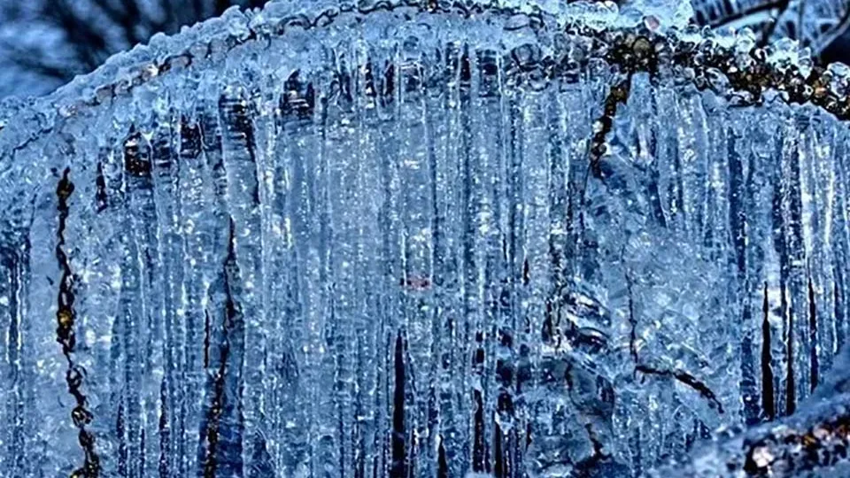 фото:.freepik.com