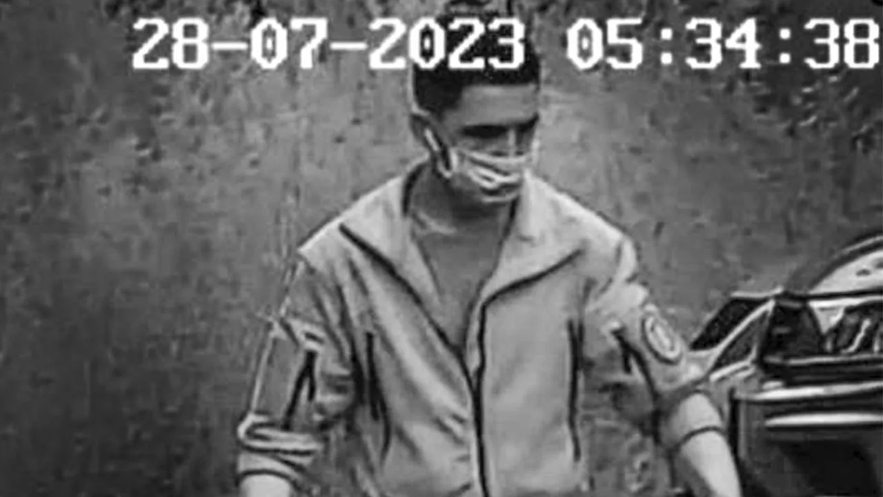 В медицинской маске и с шевроном ЧВК: живодер напал на двух собак в Подмосковье