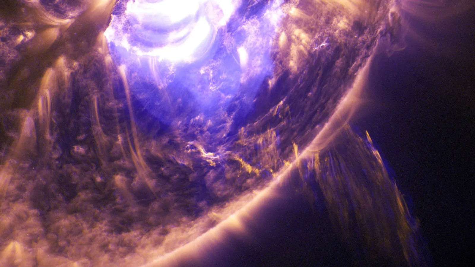 Фото: pxhere.com