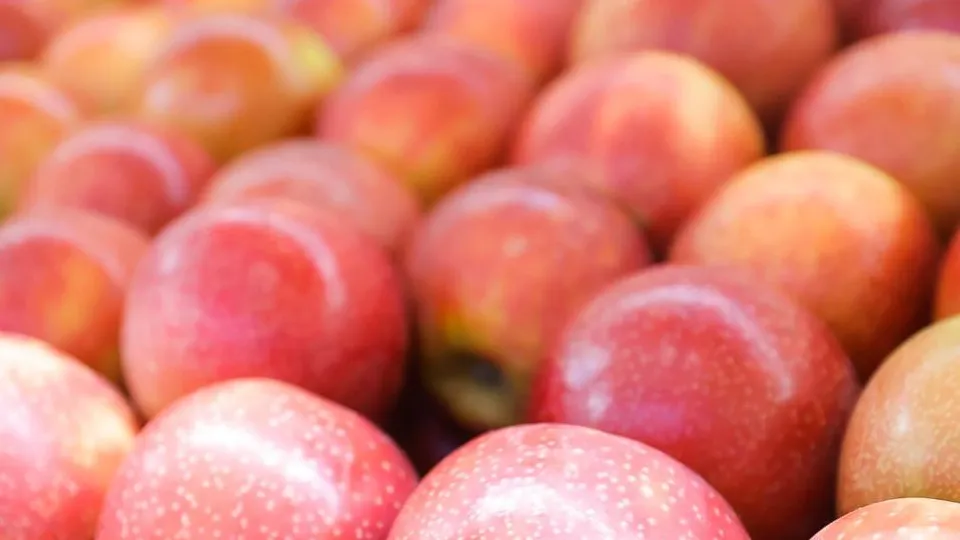 Фото: Министерство сельского хозяйства и продовольствия Московской области