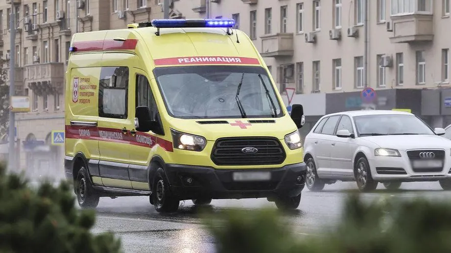 Фото: Софья Сандурская, ТАСС