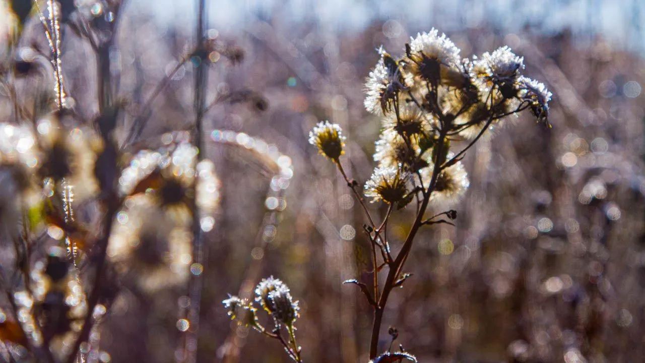 REGIONS/Владимир Ерастов