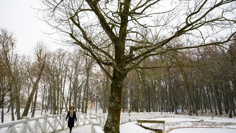 Фото: медиасток.рф