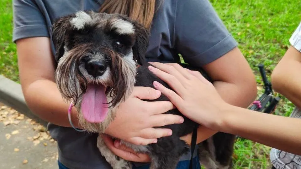 Фото: пресс-служба Администрации г.о. Лобня