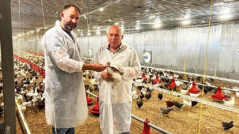 из личного архива романа малкина