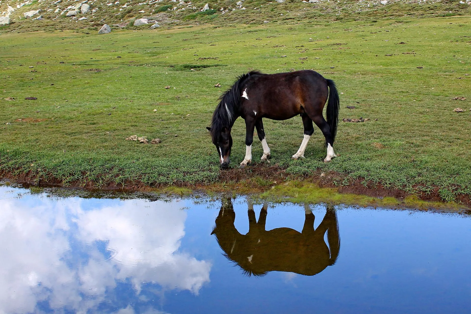 Panoramic/ZUMAPRESS.com