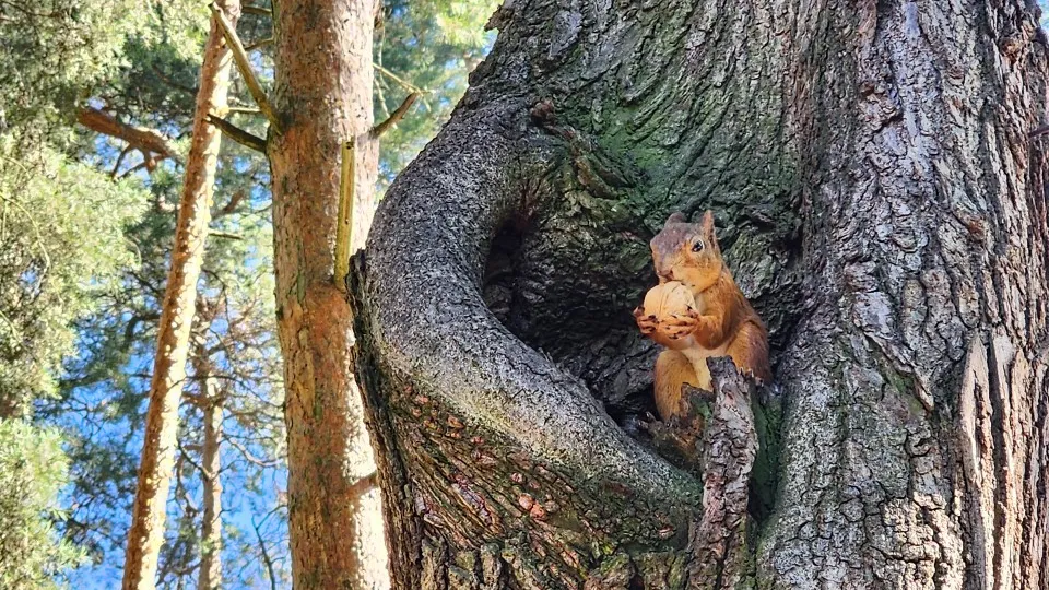 Фото: МедиаБанк Подмосковья/Ксения Пашуто