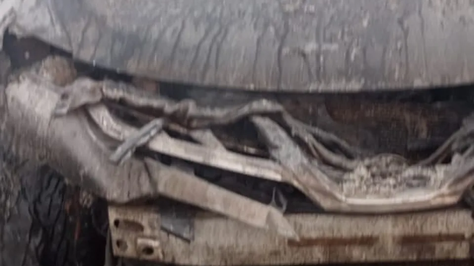 Фото: Regions.ru Наталия Надточая