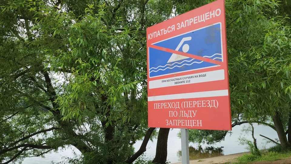Фото: МедиаБанк Подмосковья/Артем Мишуков