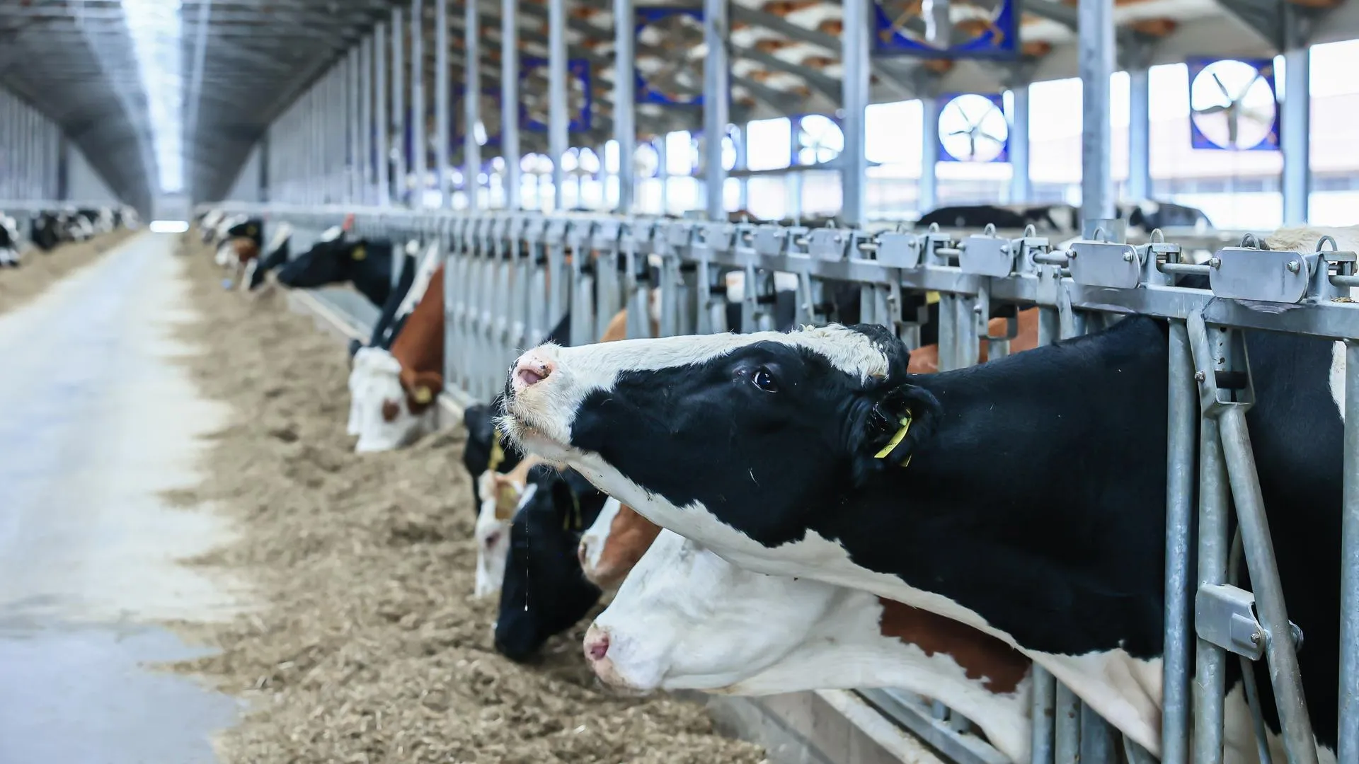 медиасток.рф