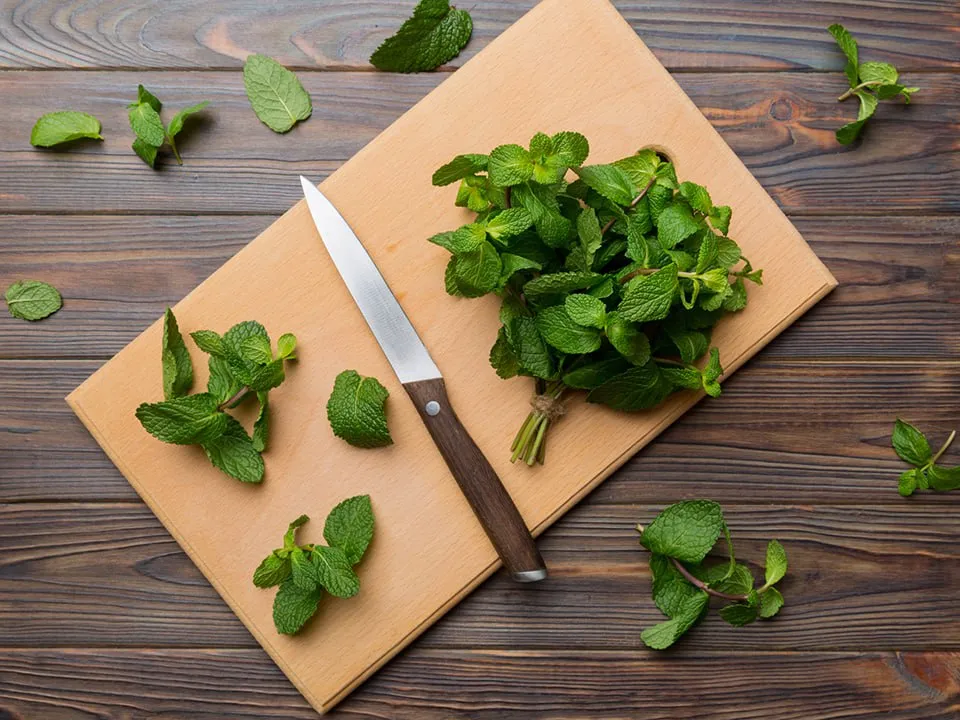 Фото: istockphoto.com/Mykola Sosiukin