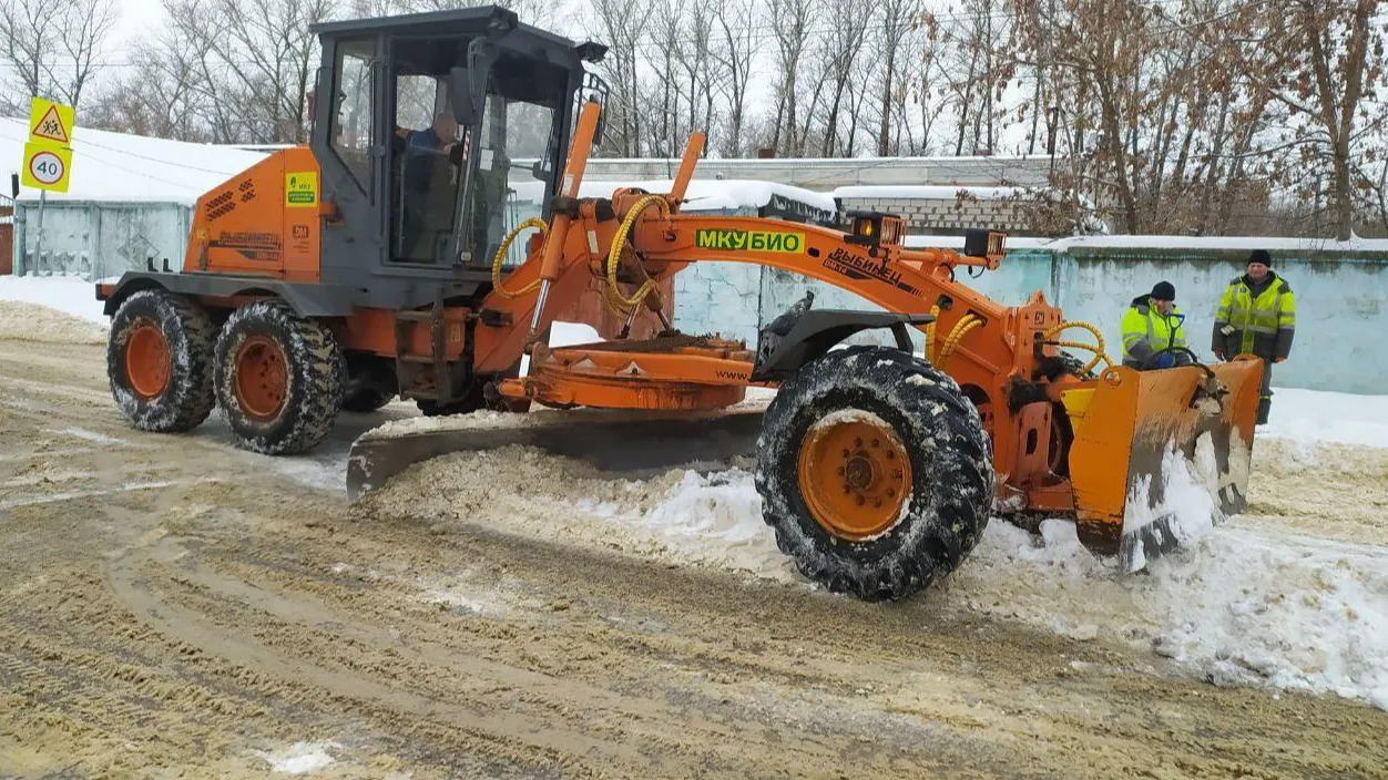 Фото: Светлана Плотникова
