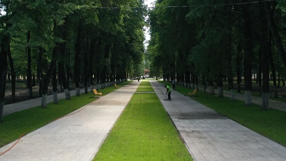 Фото: медиасток.рф