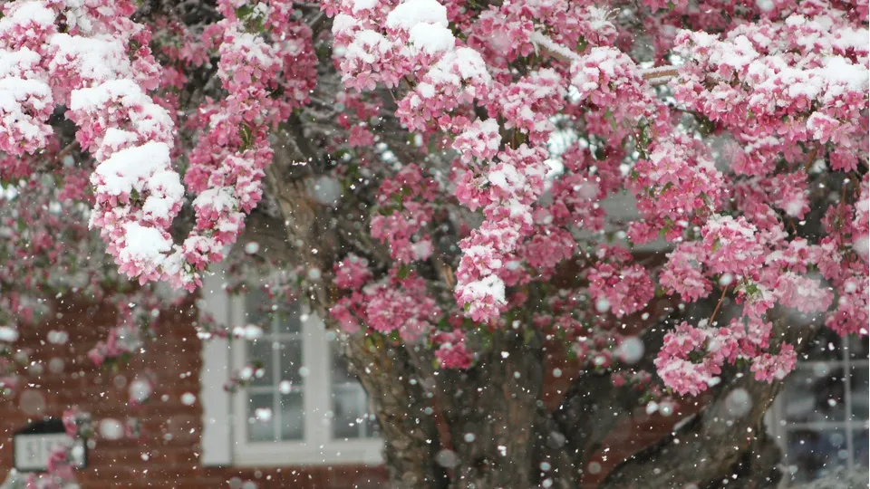 Фото: unsplash.com