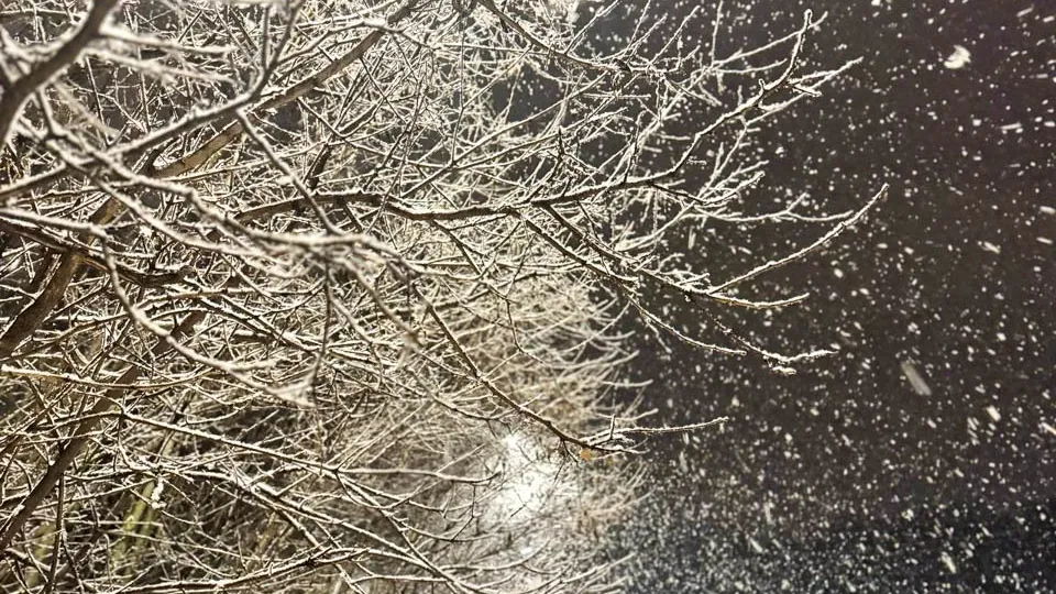 REGIONS/Евгения Макаренко