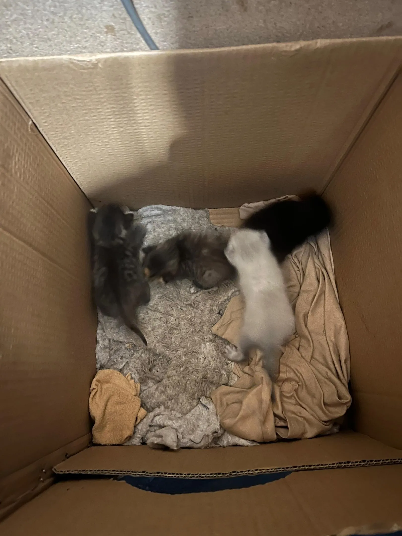 Фото: Подслушано на Глебовке (новая) / ВКонтакте