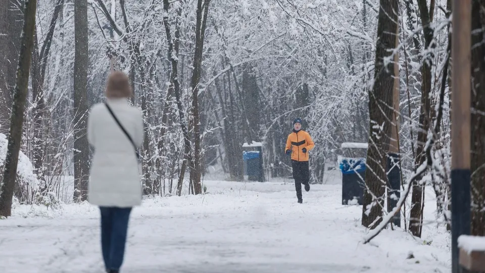 Фото: медиасток.рф