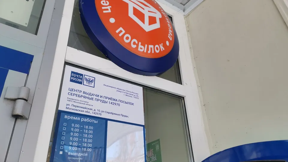 Фото: REGIONS/Дарья Кургузова