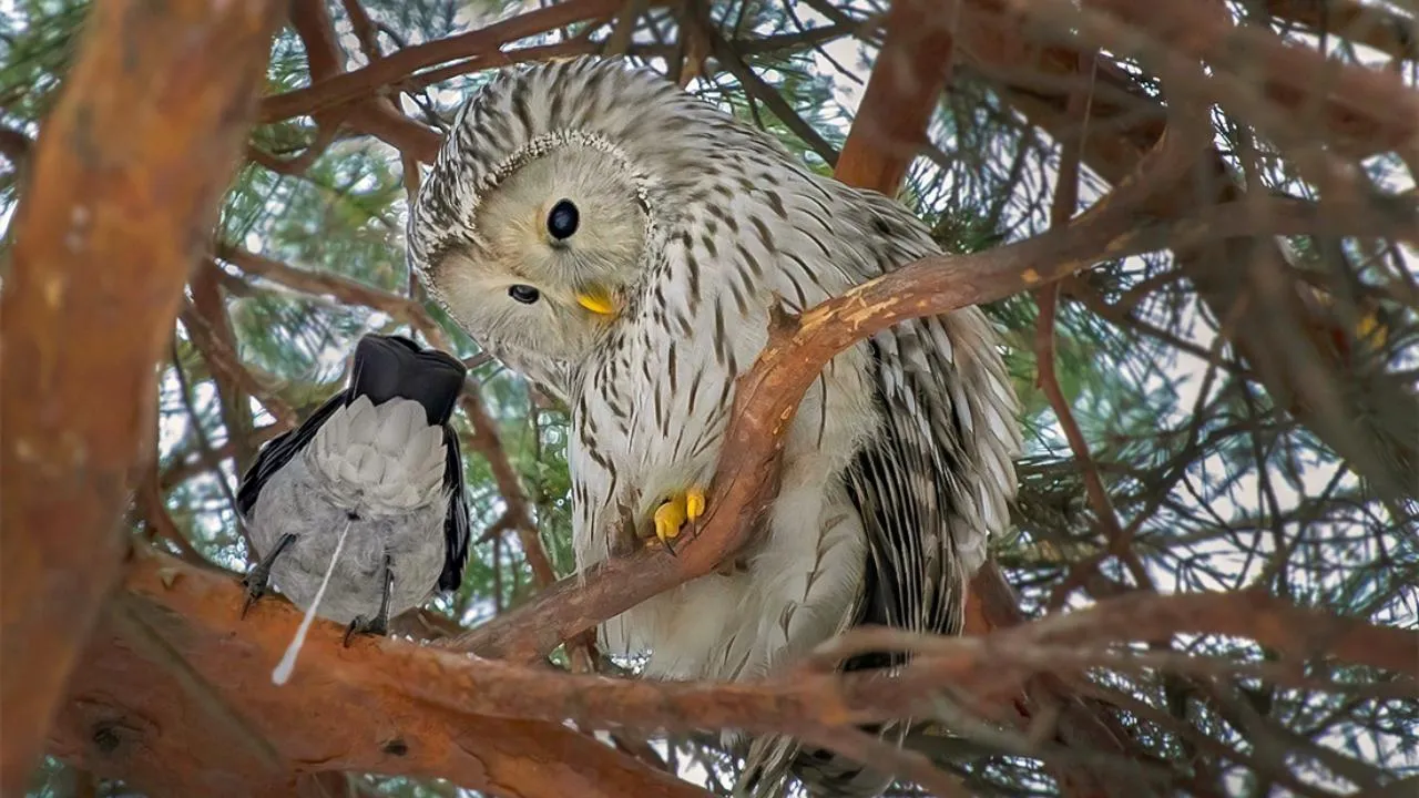 личный архив Натальи Сытиной
