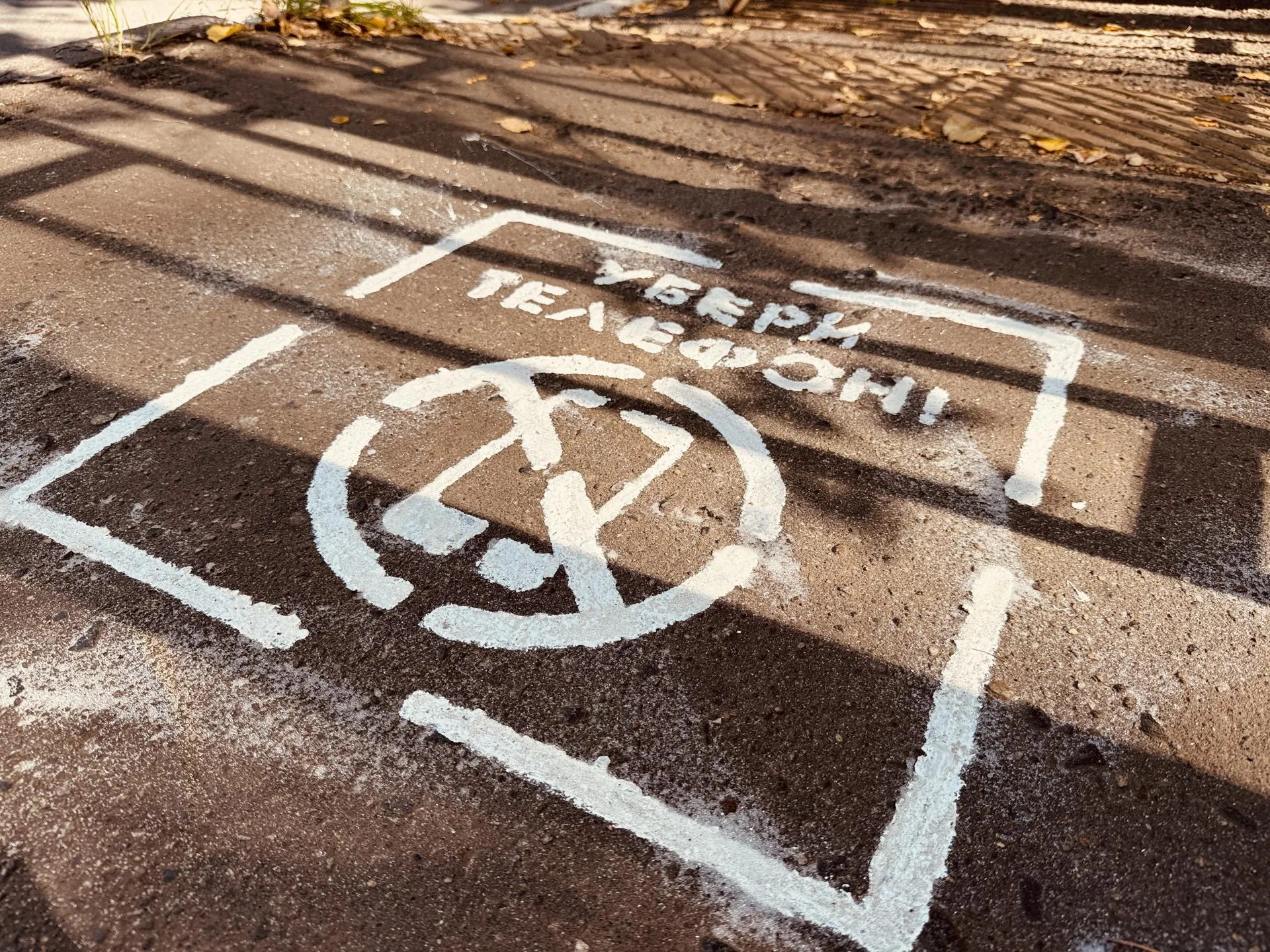 Фото: Медиабанк Подмосковья/Ольга Стаферова