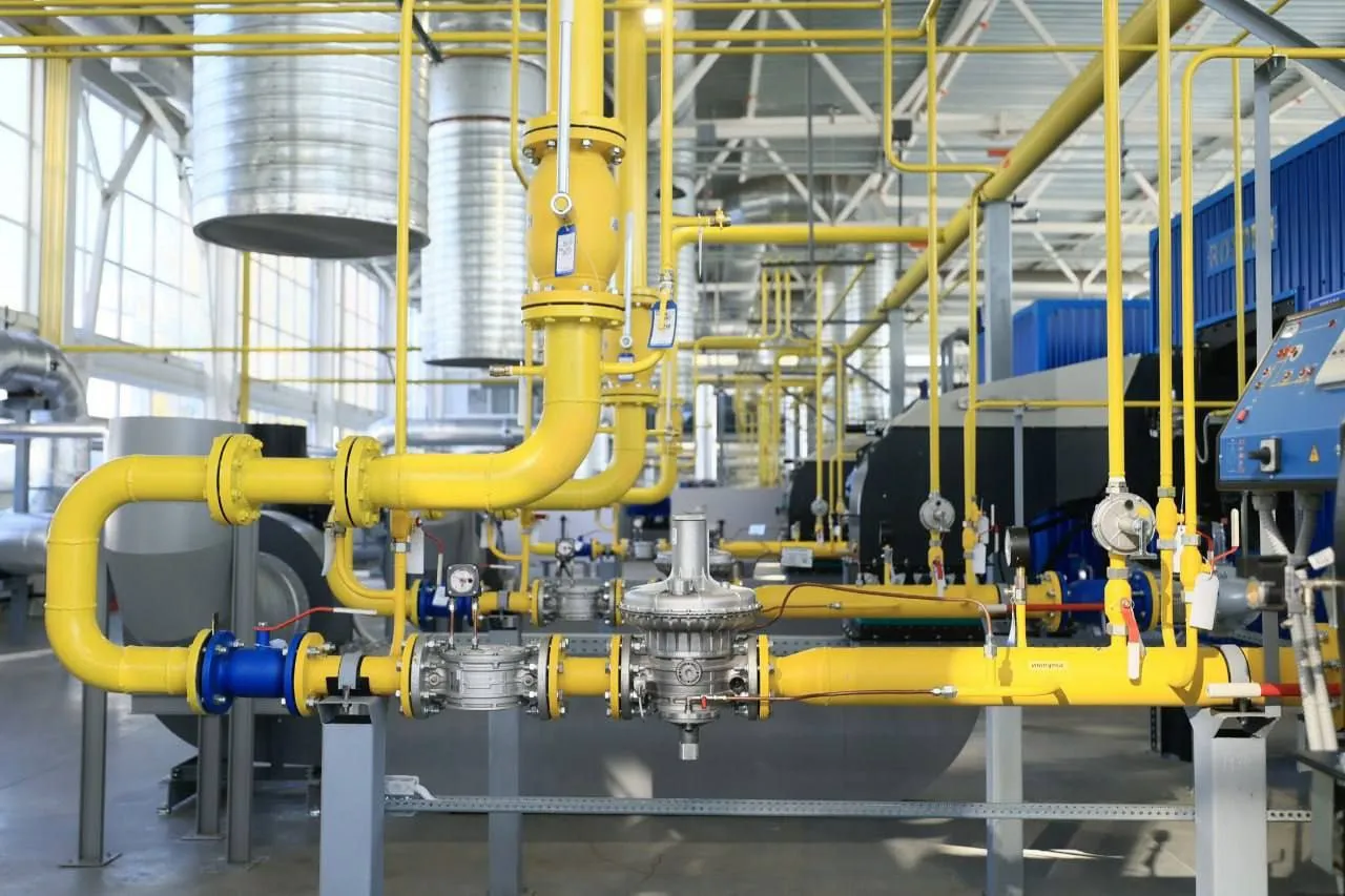 Фото: пресс-служба губернатора МО