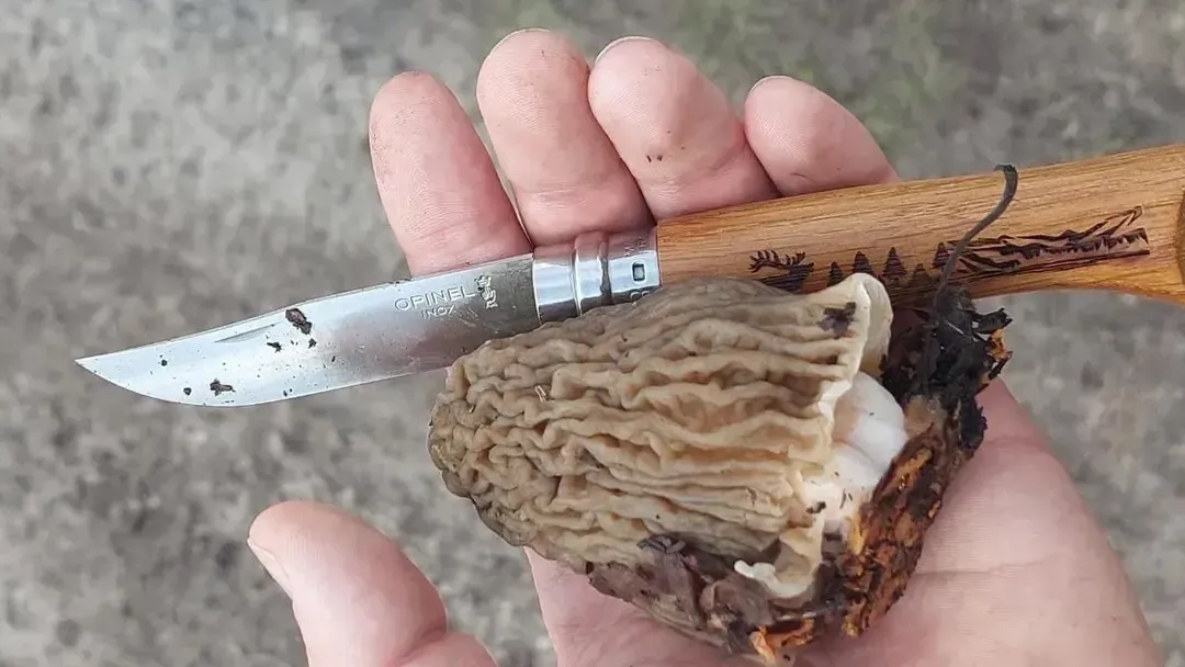 Василий Потапов